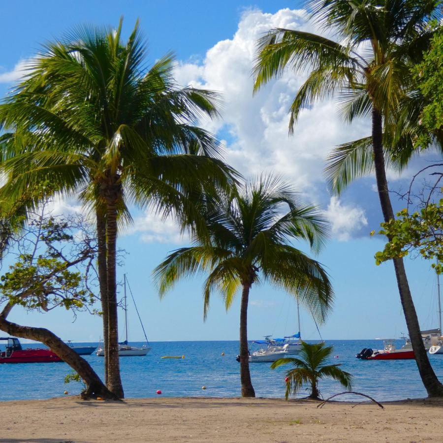 La Plage - Mer Des Caraibes A 30M Les Trois-Ilets Ngoại thất bức ảnh